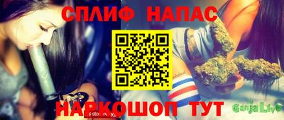 дмт Новозыбков