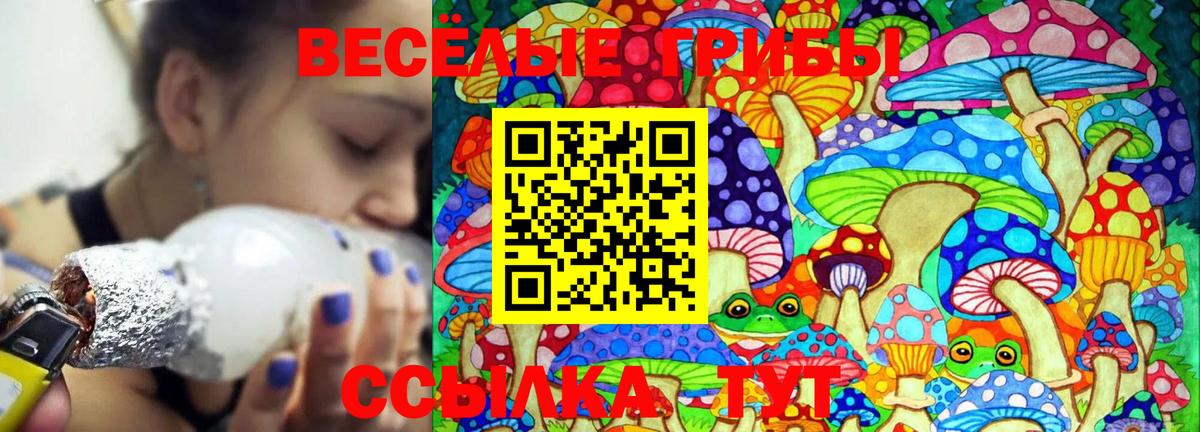 Галлюциногенные грибы Psilocybe Татарск