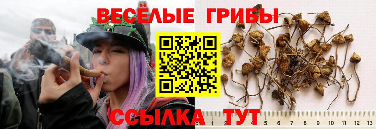 Псилоцибиновые грибы Magic Shrooms  Галлюциногенные грибы GOLDEN TEACHER  Вход с VPN  Татарск 