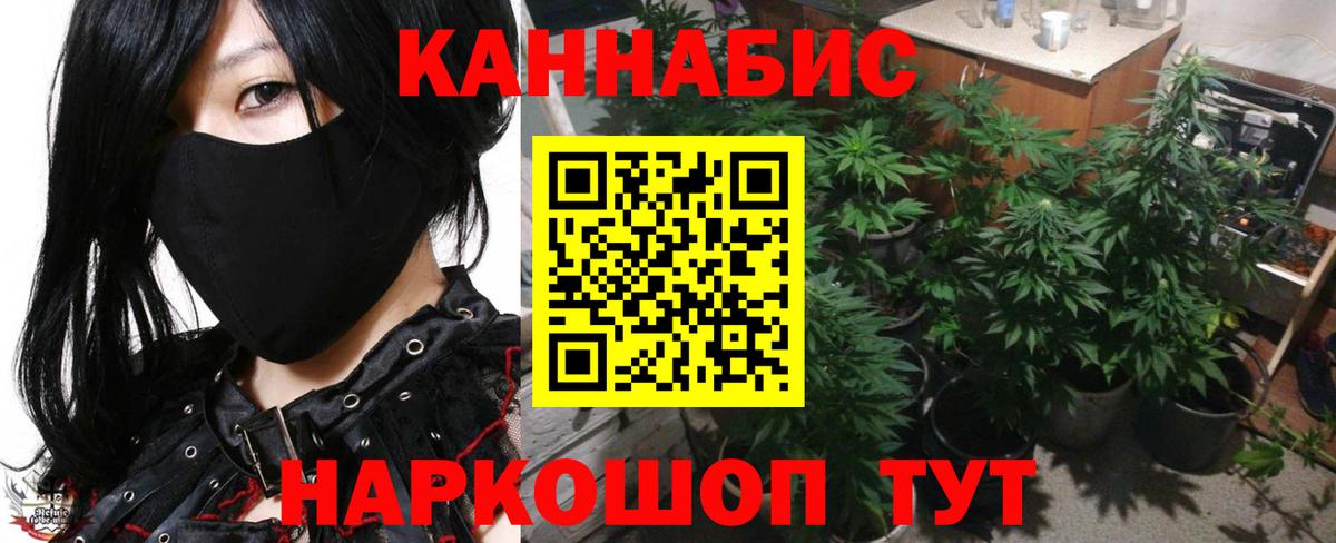 Бошки Шишки ГИДРОПОН  Вход с VPN  Татарск  Конопля SATIVA & INDICA 